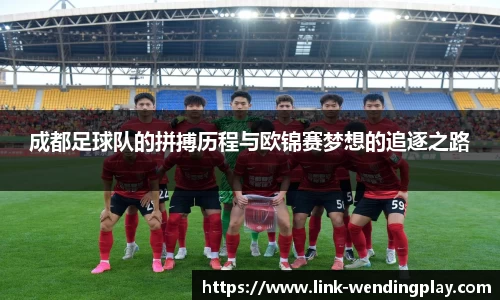 成都足球队的拼搏历程与欧锦赛梦想的追逐之路